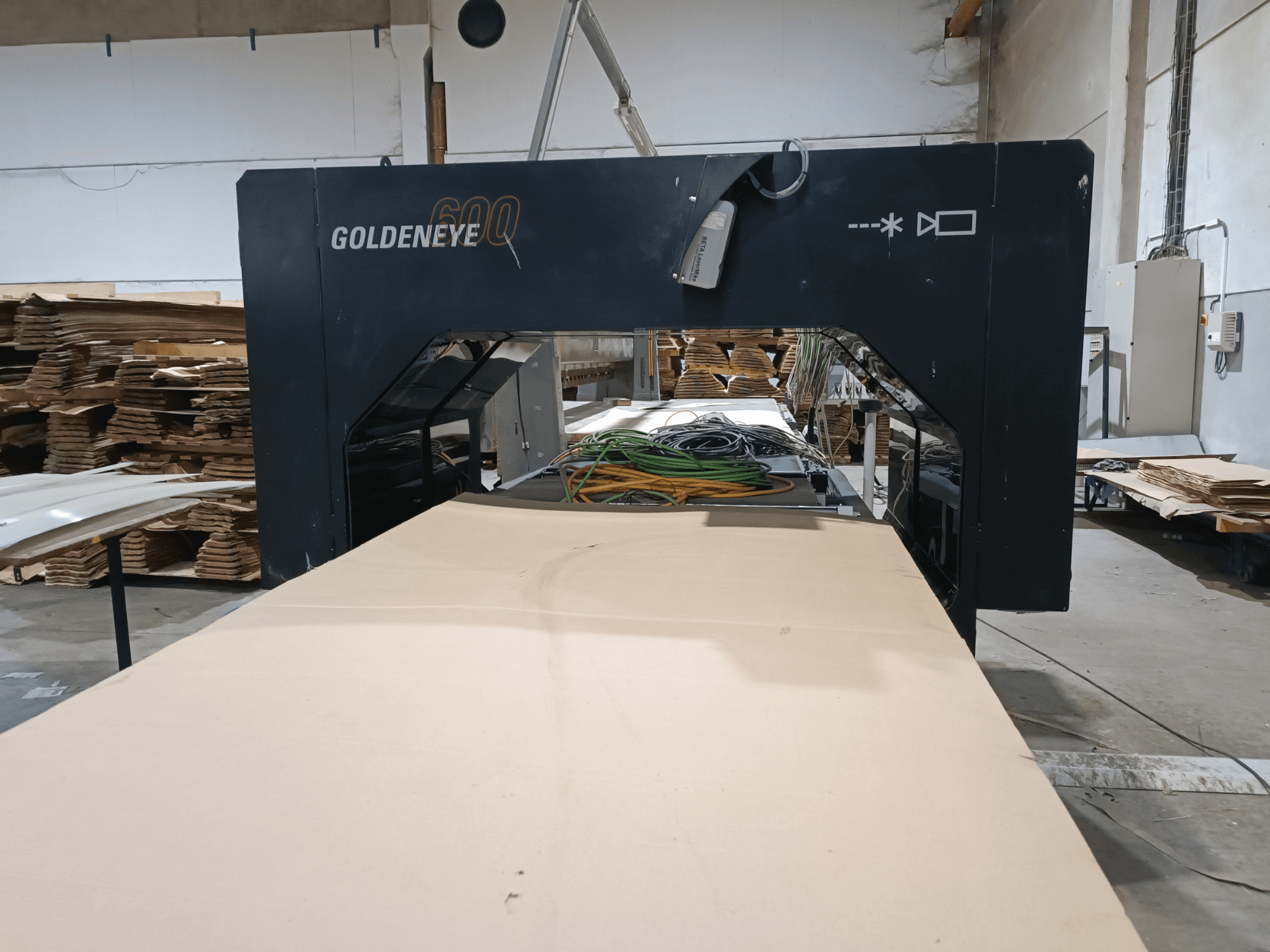 Microtec GOLDENEYE GLD 600 DSC Holzbearbeitungsmaschine in der Frontansicht, mit großer Schnittfläche und Ausstattung in einer Werkstattumgebung.